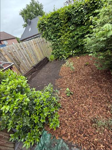 Gartenfläche mit frischem Rindenmulch und neu angelegtem Beet