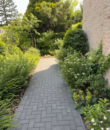 Gepflasterter Gartenweg zwischen Beeten und Bepflanzung